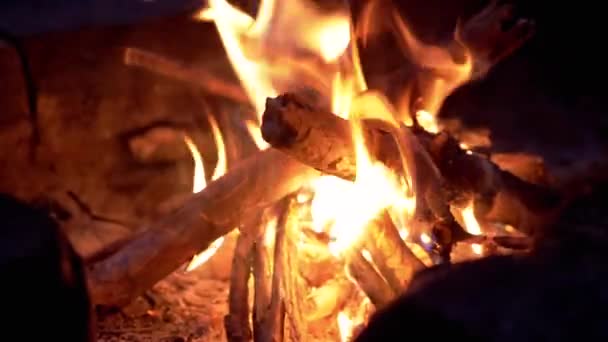 Φωτεινή Φλόγα Νυχτερινής Φωτιάς Στο Δάσος Λιωμένα Κοράλλια Καπνός Ξηρά — Αρχείο Βίντεο