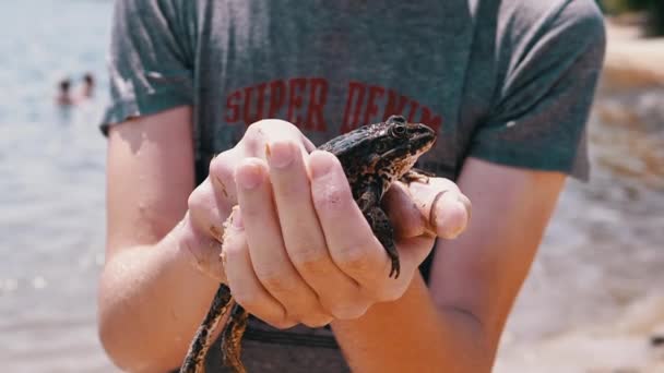 Teenager Holds His Hands Huge Spotted Toad Background Beach Fecha — Vídeo de Stock