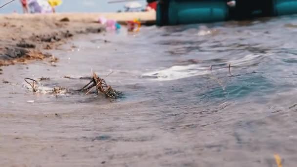 Морской Перерыв Песчаном Пляже Солнечный Свет Отражается Воде Крупный План — стоковое видео