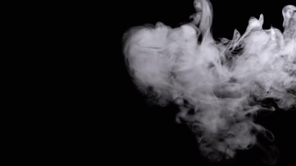 Nuage Glacé Fumée Blanche Épaisse Brouillard Flottant Sur Fond Noir — Video