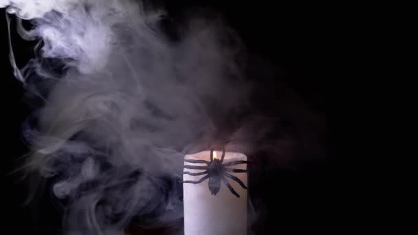 在黑色背景的浓烟中 巨大的黑色蜘蛛坐在蜡烛台上 灯笼光 孤立无援雾的结构 黑暗的房间恐惧 装饰元素 万圣节的概念 10月 — 图库视频影像