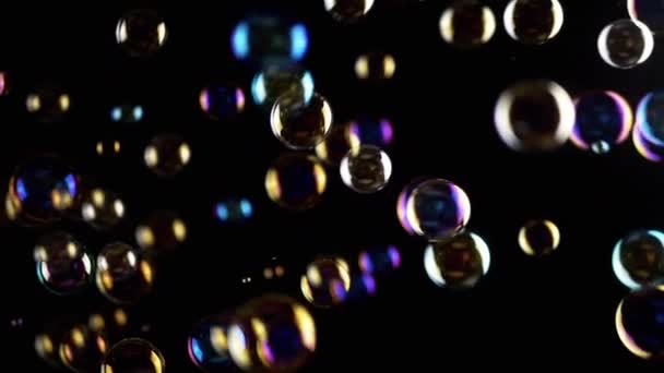 Colorful Soap Bubbles Fly Empty Space Isolated Black Background Dalam — Stok Video