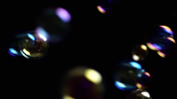 Colorful Soap Bubbles Fly Empty Space Isolated Black Background Colorful — Stock Video