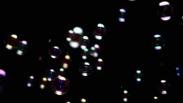 カラフルな石鹸の泡は隔離された黒い背景の空のスペースで飛びます カラフルなライト 多くの虹の透明な泡はランダムに回転し 浮遊し 落下し 破裂します ブレイクした動き 選択的な焦点 アブストラクト — ストック動画