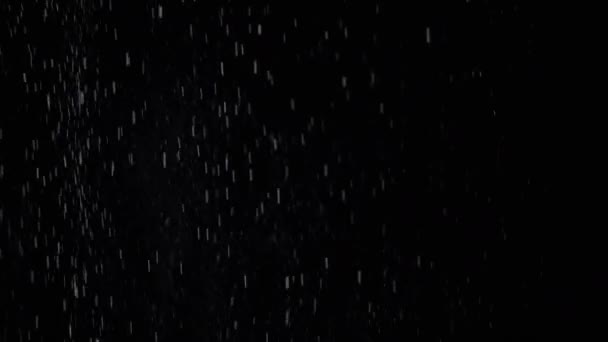 Whirlpool Partículas Mistas Poeira Neve Detritos Voando Fundo Preto Branco — Vídeo de Stock
