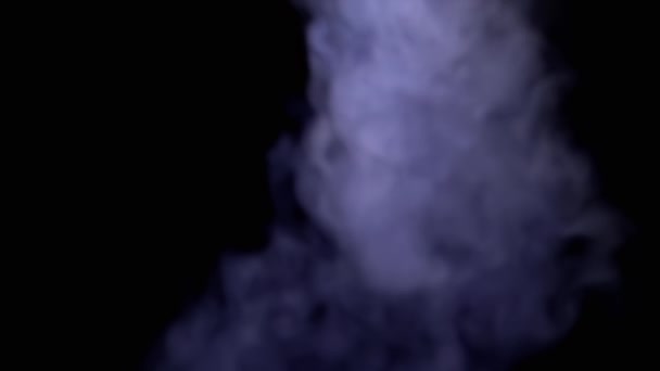 Schimmernde Eisige Rauchwolken Lösen Sich Auf Einem Schwarzen Hintergrund Leeren — Stockvideo