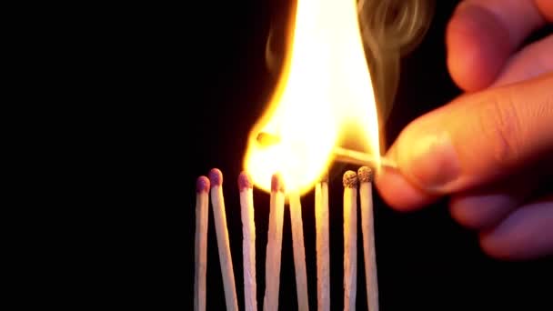 Hand Lights Lot Match Using Burning Match Black Background Inglés — Vídeos de Stock