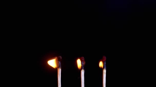 Trois Allumettes Brûlantes Avec Une Flamme Brillante Sur Fond Noir — Video