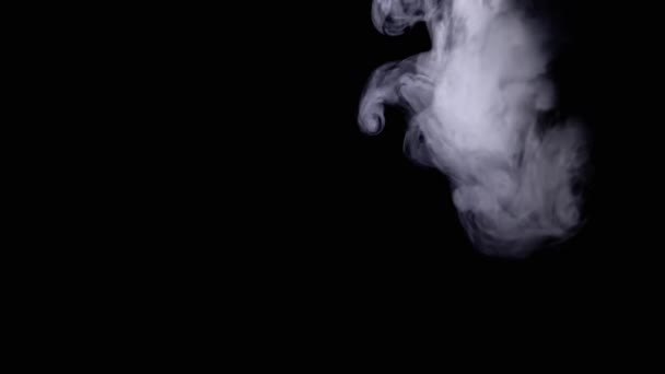 Λευκό Σύννεφο Πάγου Πυκνού Καπνού Διαλύεται Μαύρο Φόντο Κενό Χώρο — Αρχείο Βίντεο