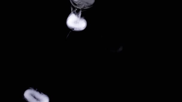 Falling White Smoke Rings Empty Space Black Background Mouvement Flou — Video