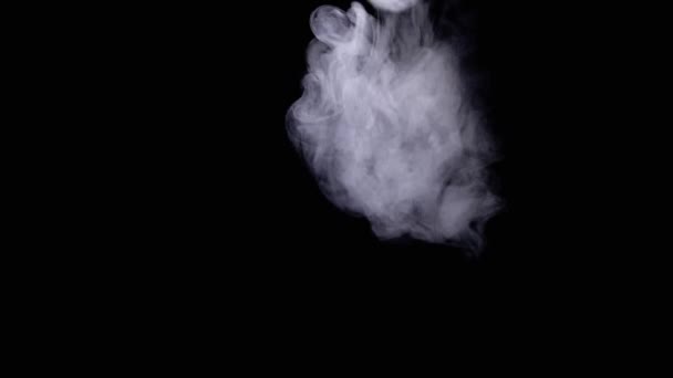 Schimmernde Eisige Rauchwolken Lösen Sich Auf Einem Schwarzen Hintergrund Leeren — Stockvideo