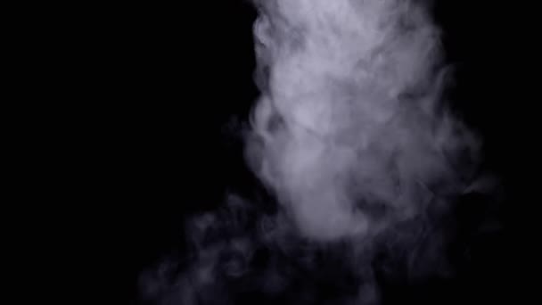 Shimmering Icy Cloud Smoke Rozpuszcza Się Czarnym Tle Pustej Przestrzeni — Wideo stockowe