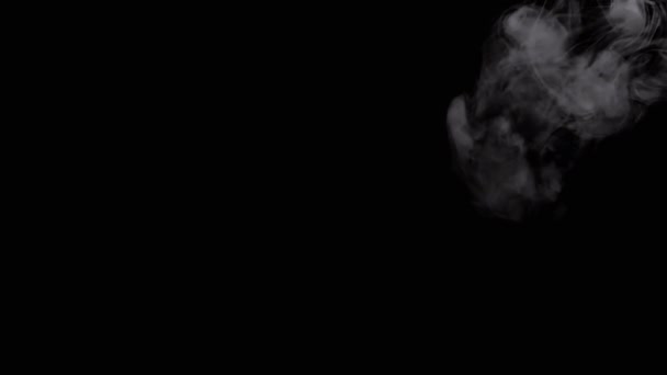 Kalın Beyaz Duman Bulutu Bulanık Siyah Arkaplanda Yüzen Sis Yüzükler — Stok video