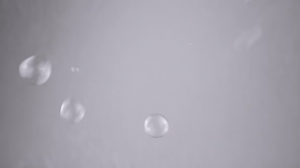 许多小肥皂泡在空旷空间的灰色背景下飞舞 混乱的快速移动 透明的小水球 模糊的运动 集中注意力 — 图库视频影像