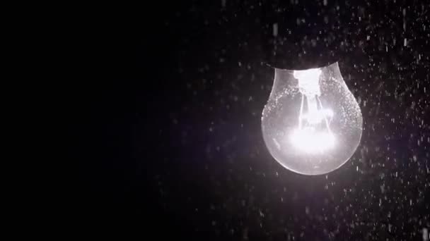 Parlak Parlayan Ampul Düşen Kar Karanlıkta Aydınlatıyor Sokak Lambası Siyah — Stok video