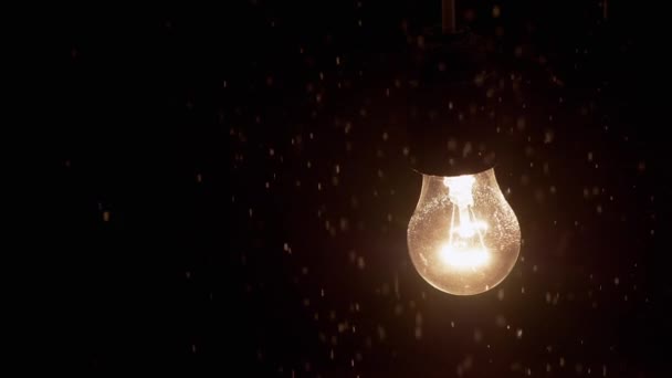 Żarówka Bright Incandescent Oświetla Spadający Śnieg Ciemności Lampa Uliczna Czarne — Wideo stockowe
