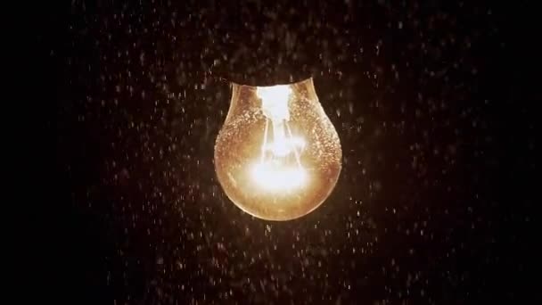 Żarówka Bright Incandescent Oświetla Spadający Śnieg Ciemności Lampa Uliczna Czarne — Wideo stockowe