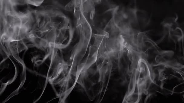 浓密的灰烟卷升起 填满了空虚的空间 黑色背景 香喷喷的烟雾 抽象形状 浓烟盘旋而过 飘着浓雾 飘着浓烟 模糊的动议 — 图库视频影像