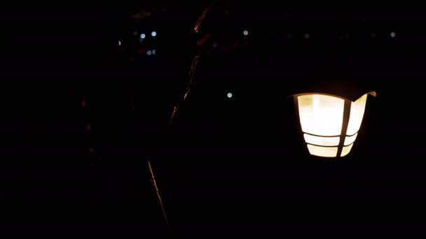 Dua Lampu Jalan Vintage Mengiluminasi Courtyard Malam Hari Mengurangi Fokus — Stok Video