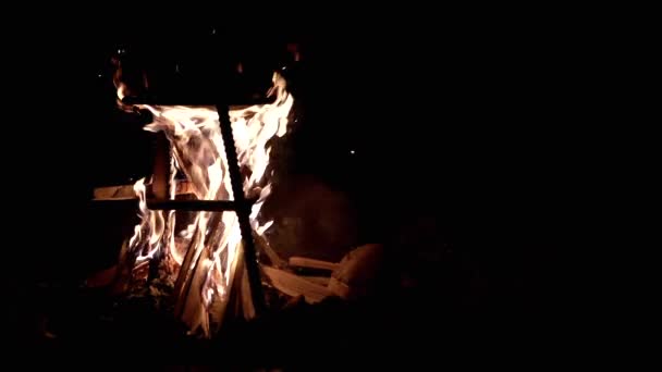 Kampvuur Verbranden Het Nachtbos Een Zwarte Achtergrond Vlammend Kampvuur Buiten — Stockvideo