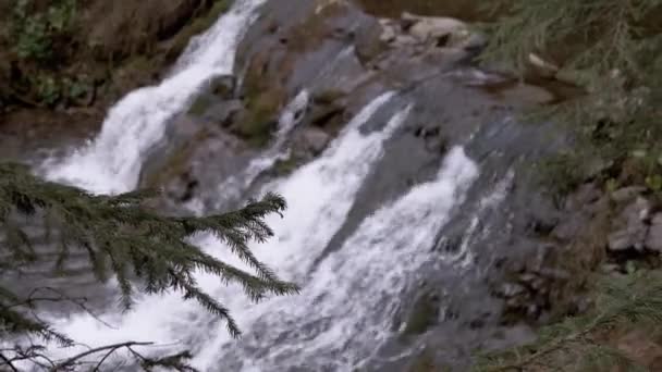 喀尔巴阡山脉山区溪流或瀑布的特写 一股湍急的水流从岩石悬崖峭壁流进河里 风景如画的风景 水的背景 慢动作 — 图库视频影像