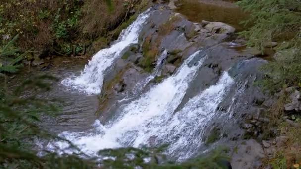 喀尔巴阡山脉山区溪流或瀑布的特写 一股湍急的水流从岩石悬崖峭壁流进河里 风景如画的风景 水的背景 慢动作 — 图库视频影像