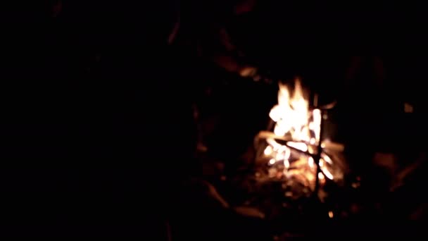 Grupa Ludzi Pieczone Pianki Szufladach Pobliżu Płonącego Ognia Night Forest — Wideo stockowe