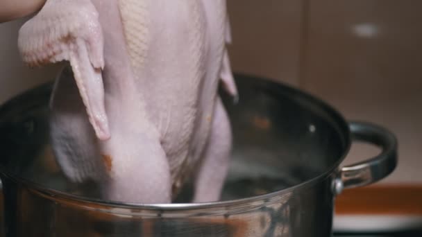 Chef Cucinare Una Carcassa Pollo Intero Una Pentola Acqua Bollente — Video Stock