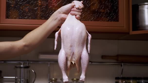 Vicino Chef Mano Tenendo Una Carcassa Pollo Crudo Una Cucina — Video Stock
