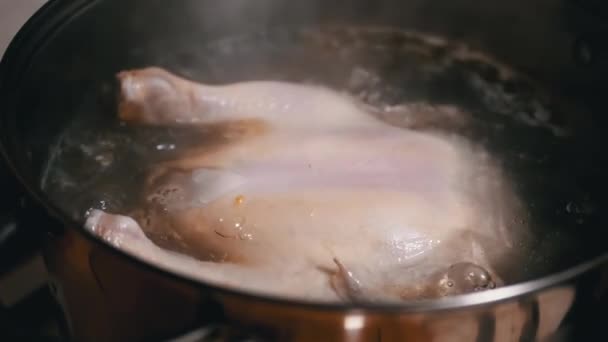 ホームキッチンで沸騰する水のポットで全チキンカルカスを調理します クローズアップ チキンスープ チキンレッグスープ スモーク スチーム 自家製ランチやディナー 家禽肉料理について フード — ストック動画