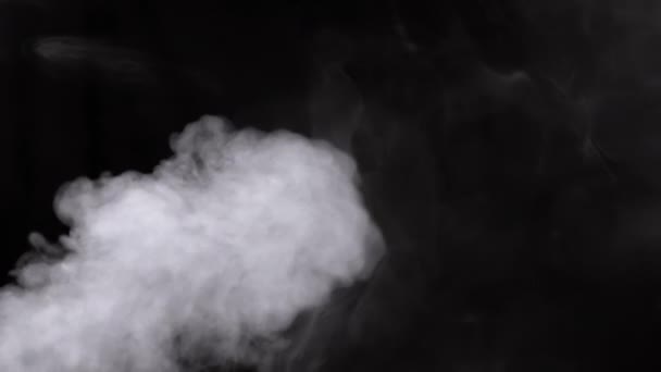 Stream Swirling White Smoke Steam Fundo Vazio Fundo Preto Textura — Vídeo de Stock