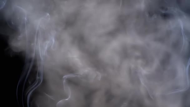 青の薄いカール 灰色の煙が上がり 空のスペースを満たします 黒い背景 インセンススティック スモッグ 抽象的な形状 ミスト テクスチャー 煙の雲が渦巻いている — ストック動画