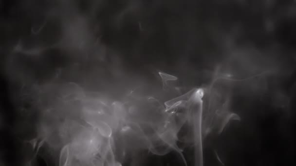 Curls White Smoke Rise Enchendo Espaço Vazio Fundo Preto Palitos — Vídeo de Stock