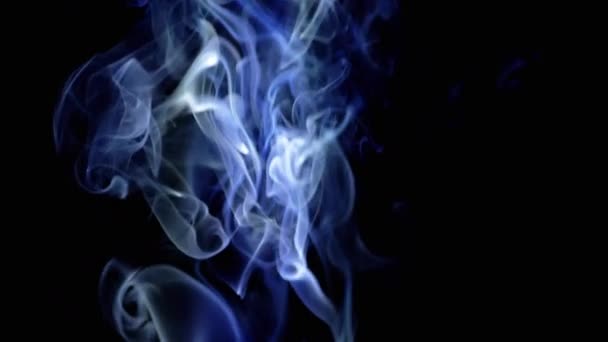 浓密的蓝烟卷起 填满了空虚的空间 黑色背景 香喷喷的烟雾 抽象形状 烟一样的漩涡飘着浓雾 飘着浓烟 模糊的动议 — 图库视频影像
