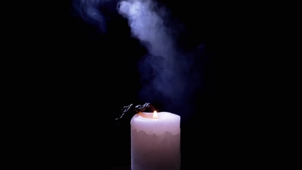 Μεγάλη Μαύρη Αράχνη Κάθεται Κερί Παχύ Καπνό Μαύρο Φόντο Καπνός — Αρχείο Βίντεο