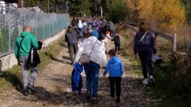Çocuklarla birlikte bir grup turist dağlara doğru tırmanır. Arkadan bak. Tepe. Yüksek çam ağaçları. Karpat Dağları 'nda yürüyüş. Vahşi doğada aileyle yürümek. Sonbahar arkaplanı.