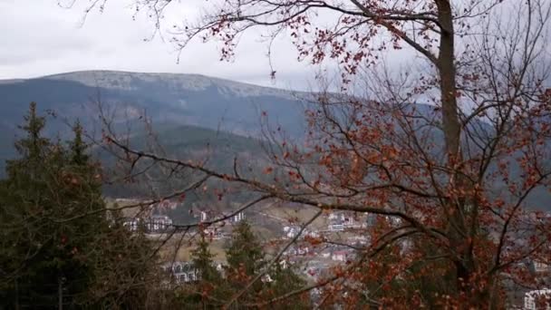Veduta Panoramica Delle Montagne Dei Carpazi Una Giornata Nebbiosa Paesaggio — Video Stock