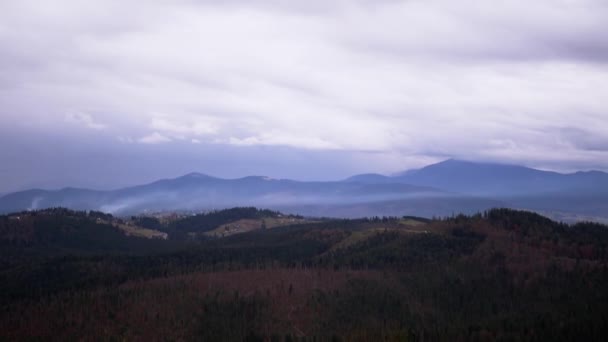 Vista Panoramica Sulle Montagne Dei Carpazi Verdi Una Giornata Nebbiosa — Video Stock