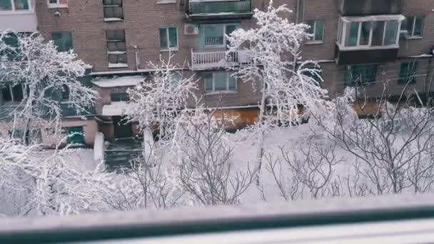 Pencere Manzaralı Kış Şehri Manzaralı Eski Konut Binalarının Avlusunda Üst — Stok video