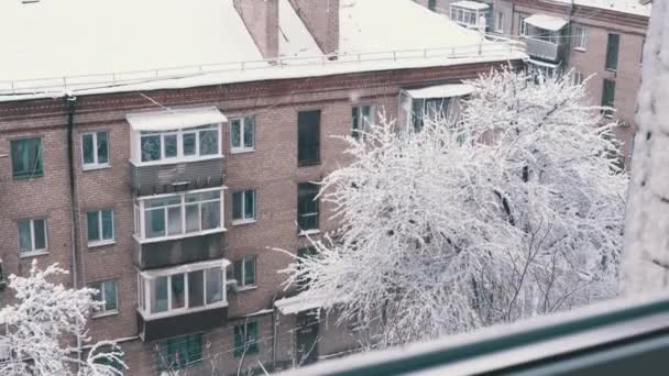 ウィンドウビュー オールド レジデンスビルの中庭のウィンターシティ風景 トップビュー パノラマ 雪は複数の建物の屋根の上にあり 木々は雪で覆われています 曇った天気 — ストック動画