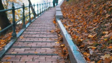 İnsanlar Düşen Sonbahar Yaprakları 'nın Arkaplanına karşı yaya köprüsünün önünden geçiyor. Renkli akçaağaç yaprakları. Park et. Vladimir Hill 'e giden merdivenleri tırmanıyorum, Kyiv. Uzayı kopyala Bulanık hareket, sonbahar arkaplanı.