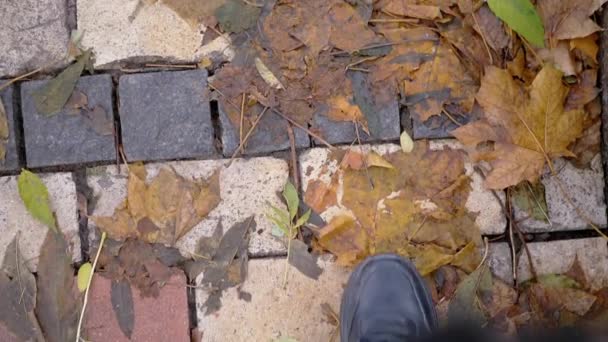 在公园里 脚踏着湿软的秋天枫黄树叶的地毯 靠近点顶部视图 穿着运动鞋的雌性腿踩在湿淋淋的桔红色枫叶上 雨天在公园里散步 — 图库视频影像