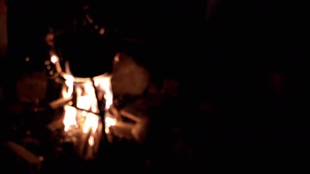 Skupina Lidí Pečených Marshmallows Skewers Poblíž Hořícího Ohně Nočním Lese — Stock video