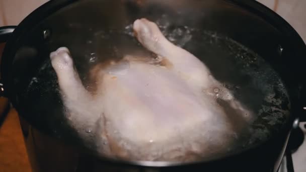 Μαγειρεύοντας Ένα Ολόκληρο Κοτόπουλο Carcass Μια Κατσαρόλα Βραστό Νερό Μια — Αρχείο Βίντεο
