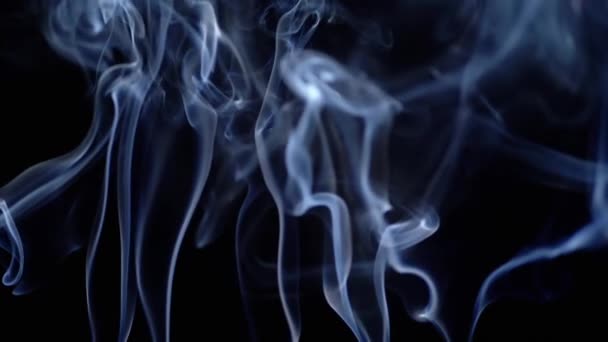 Thin Curls Blue Smoke Rise Preencha Espaço Vazio Fundo Preto — Vídeo de Stock