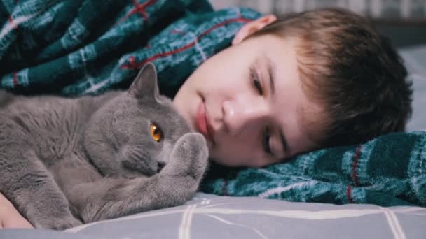 眠っている子供はふわふわの猫を抱きしめ ベッドルームのベッドに横たわり 閉じます パジャマでうんざりした笑顔の少年は 愛するペットと休んでいます バックグランド ベッドタイム — ストック動画