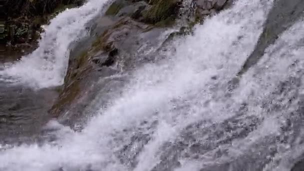 Κοντινό Πλάνο Άποψη Ενός Mountain Stream Καταρράκτη Στα Καρπάθια Όρη — Αρχείο Βίντεο