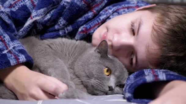 어린이 고양이와 뇌졸중 침대에서 잠옷을 소년은 나머지 사랑하는 보살핌 스톡 비디오
