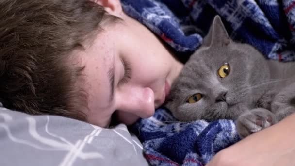 Sleepy Child Hugging Fluffy Cat 침실에서 침대에 행복한 돌보는 잠옷에 — 비디오