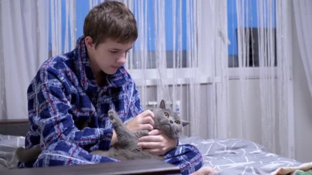 Cuidado Niño Abraza Amado Gris Esponjoso Gato Mientras Está Sentado — Vídeos de Stock